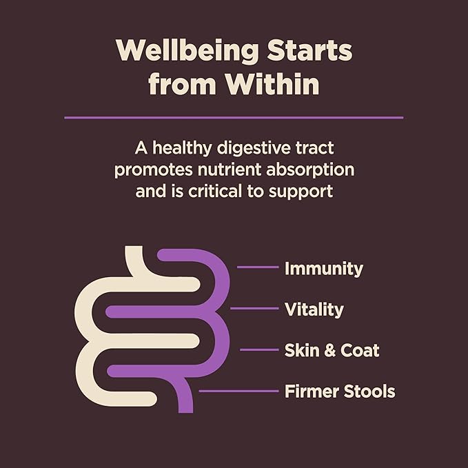 Wellness CORE Digestive Health Senior Dry Dog Food, Wholesome Grains, Natural, Recipe for Dogs with Sensitive Stomachs, Age Advantage Chicken & Brown Rice, (4-Pound Bag)