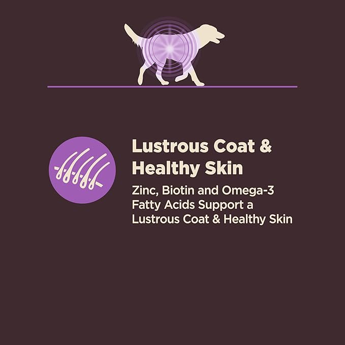 Wellness CORE Digestive Health Senior Dry Dog Food, Wholesome Grains, Natural, Recipe for Dogs with Sensitive Stomachs, Age Advantage Chicken & Brown Rice, (24-Pound Bag)