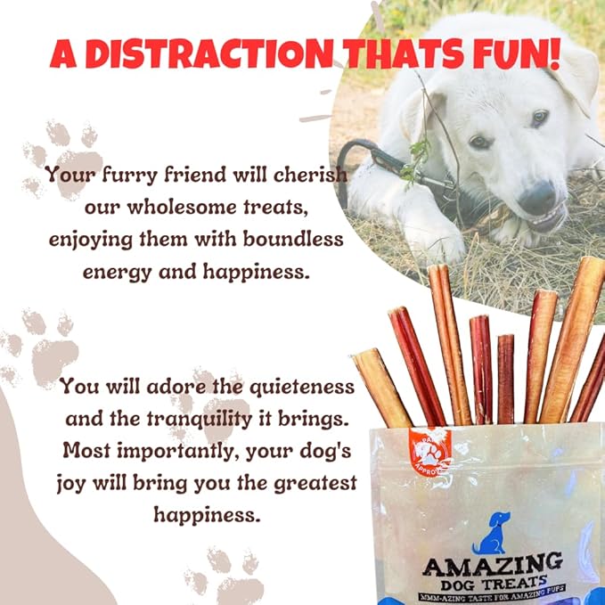 Amazing Dog Treats - 6 Inch Medium Size Bully Sticks (20 Count) - Bulk Bully Sticks for Dogs - No Hide Bully Stick Dog Bones