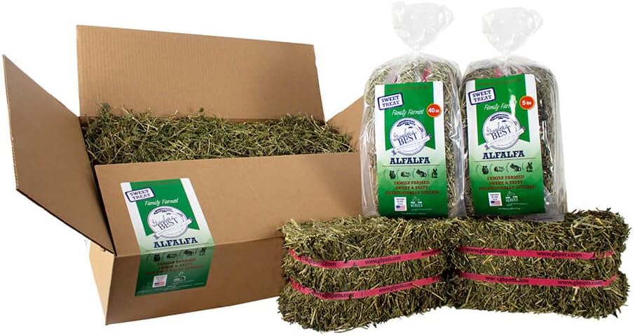 Grandpa's Best Alfalfa Hay for Rabbits, Guinea Pigs, Chinchillas, Hamsters & Gerbils, 10lb Loose Boxed