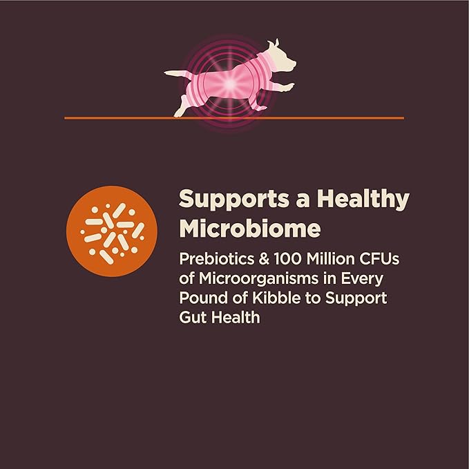 Wellness CORE Digestive Health Dry Dog Food, Small Breed, Wholesome Grains, Natural, Recipe for Dogs with Sensitive Stomachs, Chicken, (12-Pound Bag)