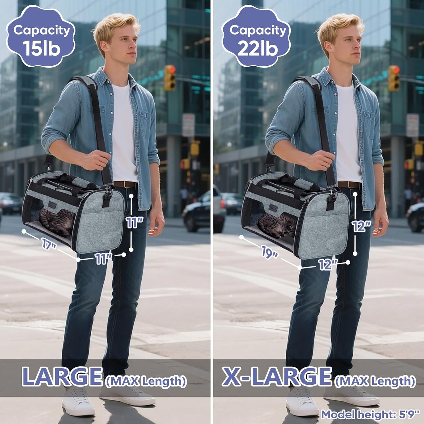 BALEINE Cat Carrier, Puppy Dog Carrier for Small Medium Pets Up to 22 Lbs, Soft-Sided Dog Travel Bag with Safety Zippers, Collapsible Pet Carrying Case (Gray, XL, 19"x12"x12")