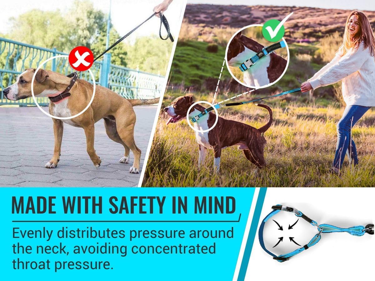 Orange Martingale Collar for Dogs - Heavy Duty Nylon Pet Collars for Escape-Free, No Pull Training & Walking with Alloy Metal Release Buckle & Reflective D Ring, One Time Adjustment, Safe & Secure, S