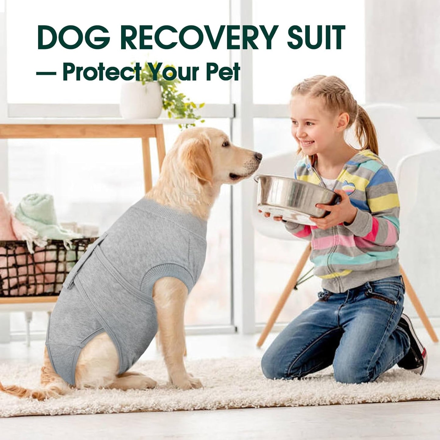 Kuoser Dog Recovery Suit for Male Dogs, Post-Surgery Bodysuit for Spay Neuter, Dog Onesie After Surgery, Anti-Licking Pet Surgical Recovery Suit, Gray XL