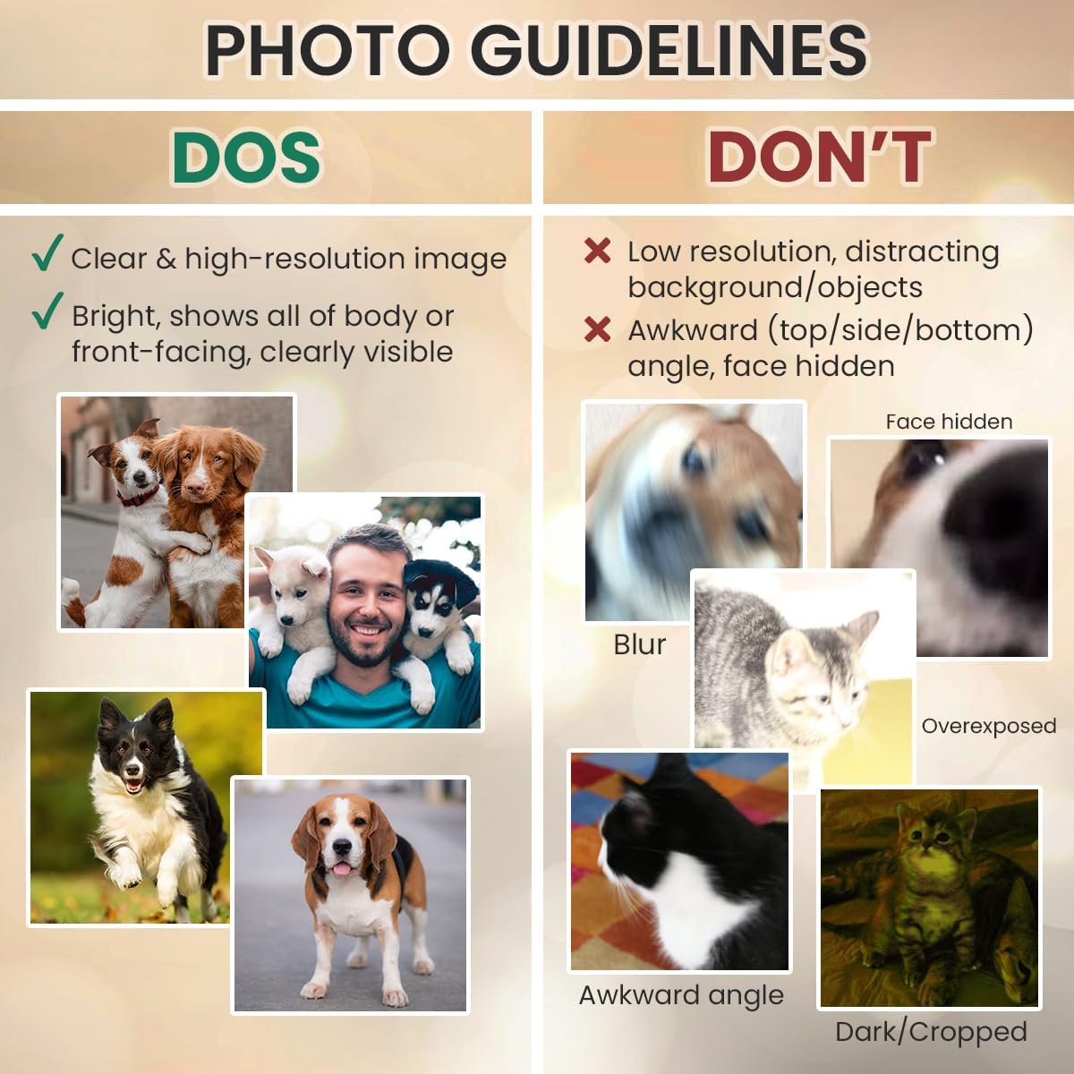 Pet Memorial Gifts - Personalized Dog, Cat Memorial Stones - Bereavement Gifts for Loss of Pet - Garden Marker - Square Shaped Memorial Plaque - Pet Remembrance Gift Dog