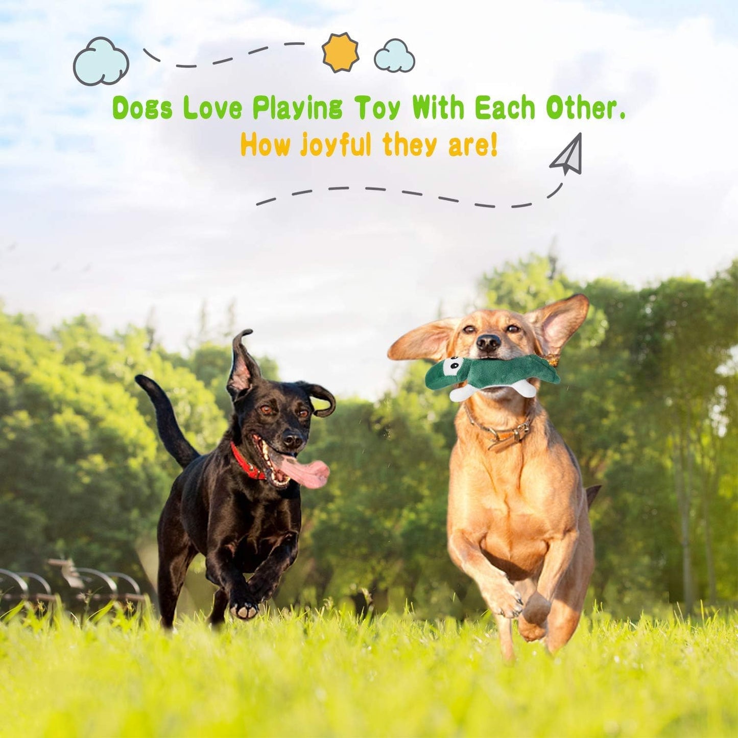 LEGEND SANDY Squeaky Dog Toys for Puppy Small Medium Dogs, Stuffed Samll Dog Toys Bulk with Plush Pet Doggie Toy Set, Cute Safe Pet Chew 12 Pack for Puppies Teething