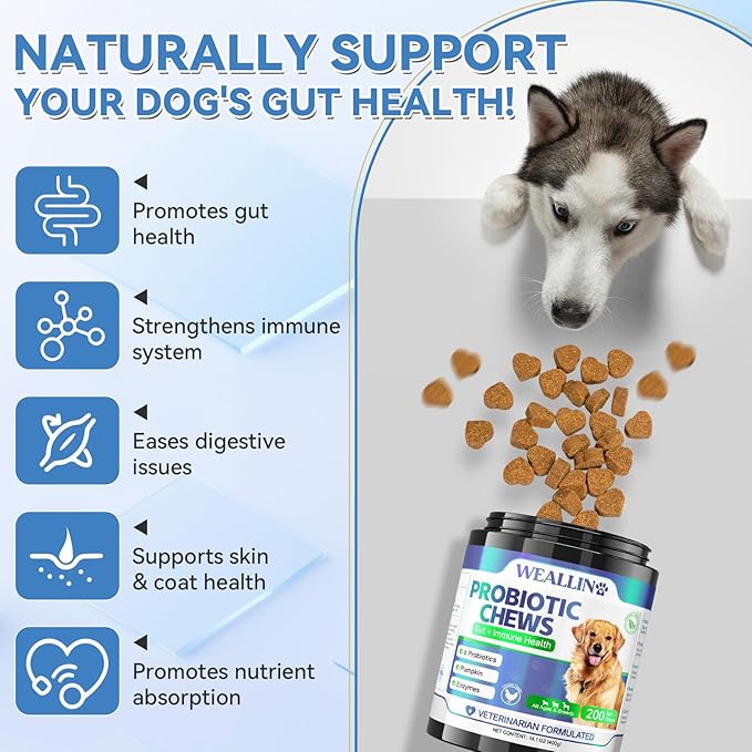 200 PCS Probiotics for Dogs - Dog Probiotic Chews for Gut Health, Digestive Support & Itchy Skin Relief Pet Diarrhea Gas Treatment - Probiotics, Digestive Enzymes, Prebiotics, Pumpkin