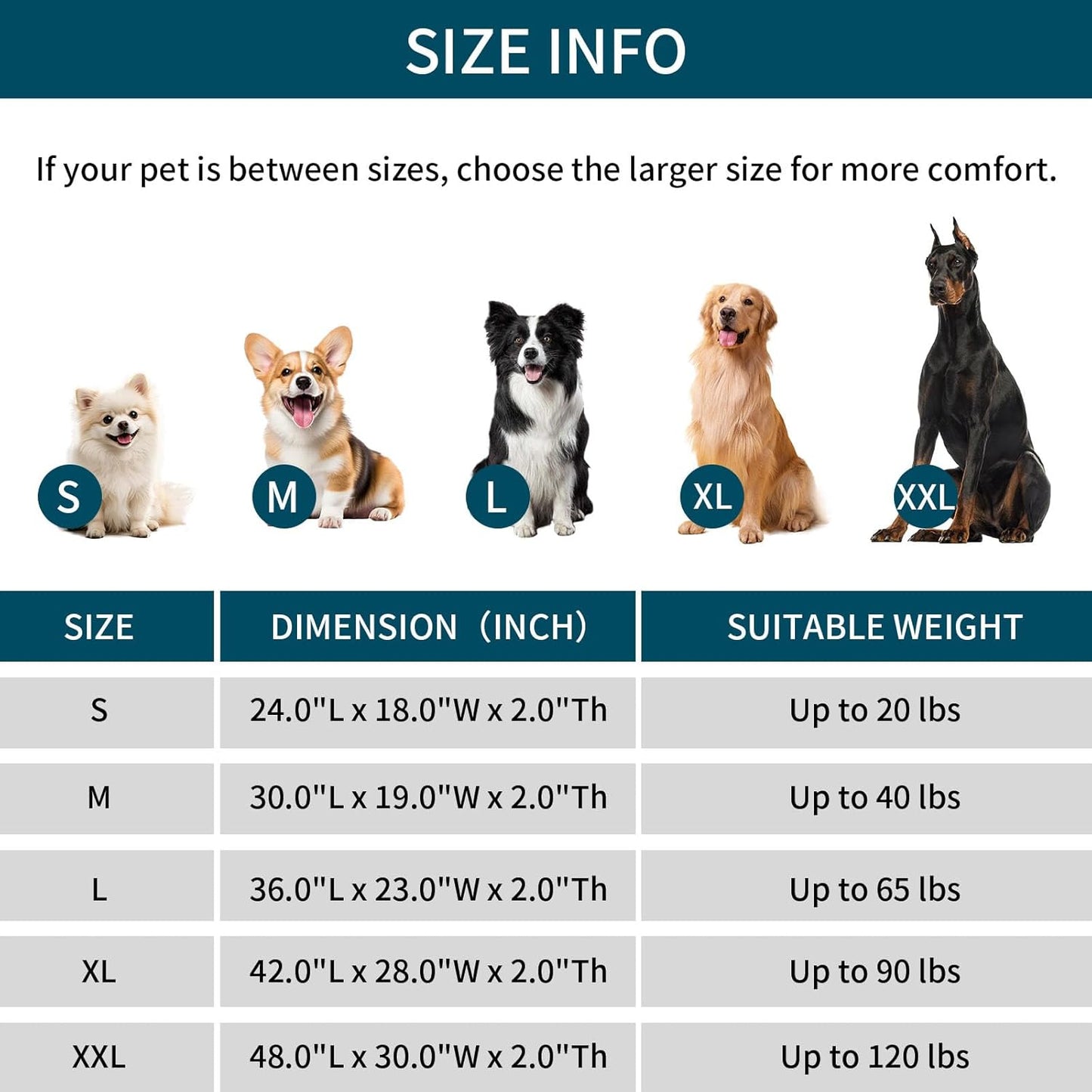 Dog Crate Pad - Dog Bed Large Sized Dogs with Removable Washable Cover and Waterproof Lining - XL Memory Foam Pet Bed for Crate - Reversible Kennel Mat (Cool & Warm), 42-inch, Zebra