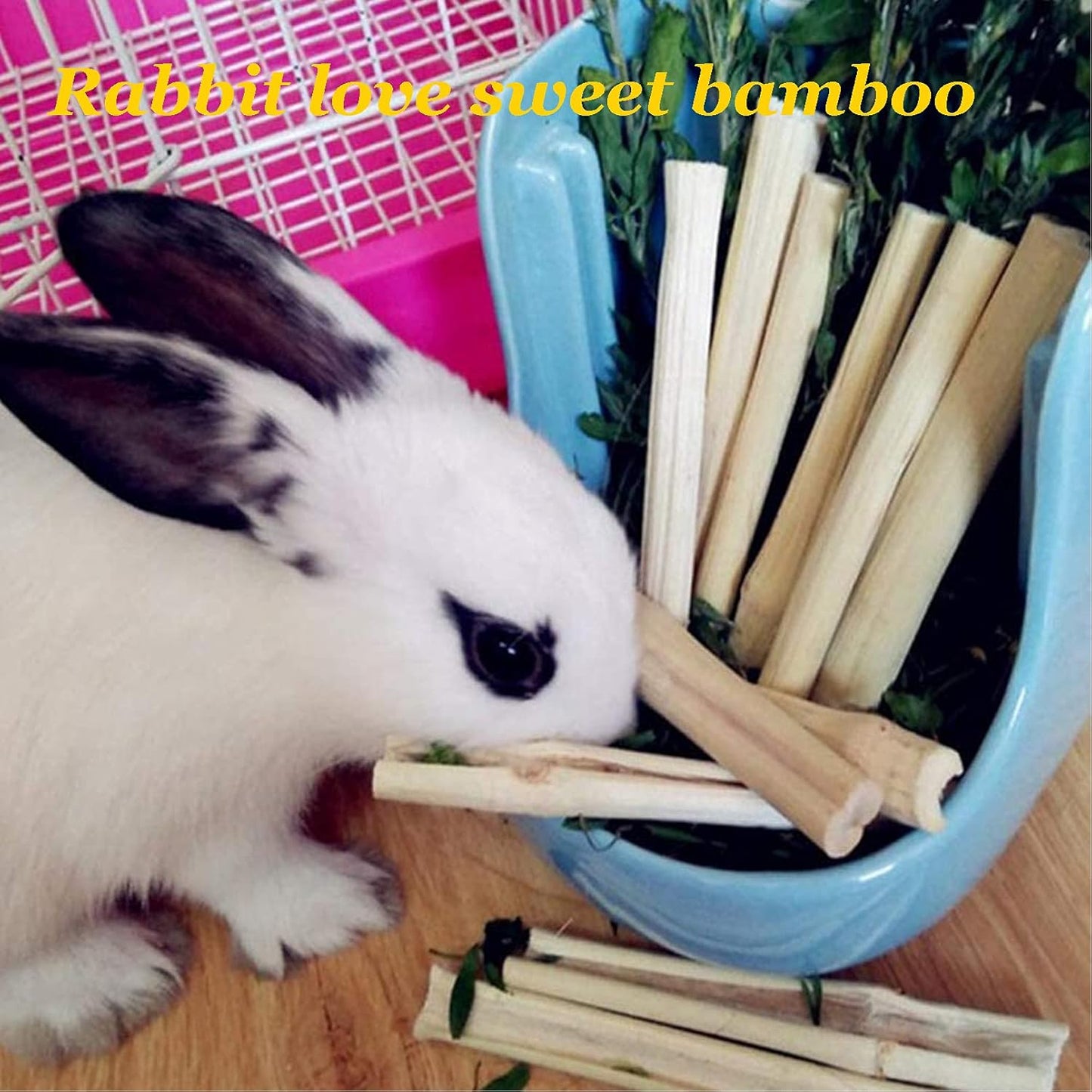 Tfwadmx Rabbit Litter Box Toilet Bunny Corner Litter Pan Pet Toilet Potty Trainer with Scoop Rabbit Chew Toys for Guinea Pigs Galesaur Chinchilla Ferret Small Animal (White)