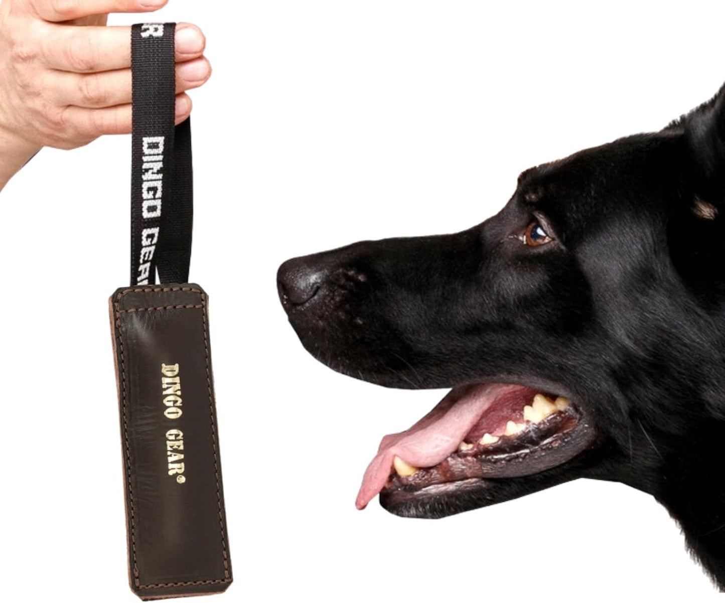 Dingo Gear Brown Grain Leather Dog Toy for bite Training, Handmade for Strong Dogs, 11in 0.16 kg