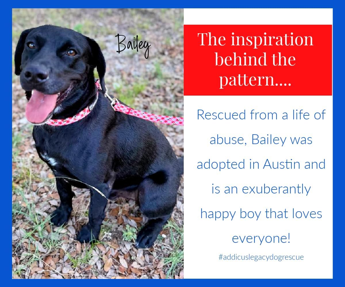 Lucky Love Dog - Easy Click Buckle Dog Collar with Leash Set Combo, Durable & Comfortable for Male & Female Dogs, Pet Collar for Small to Large Dogs, Secure Fit - Bailey Combo, Small