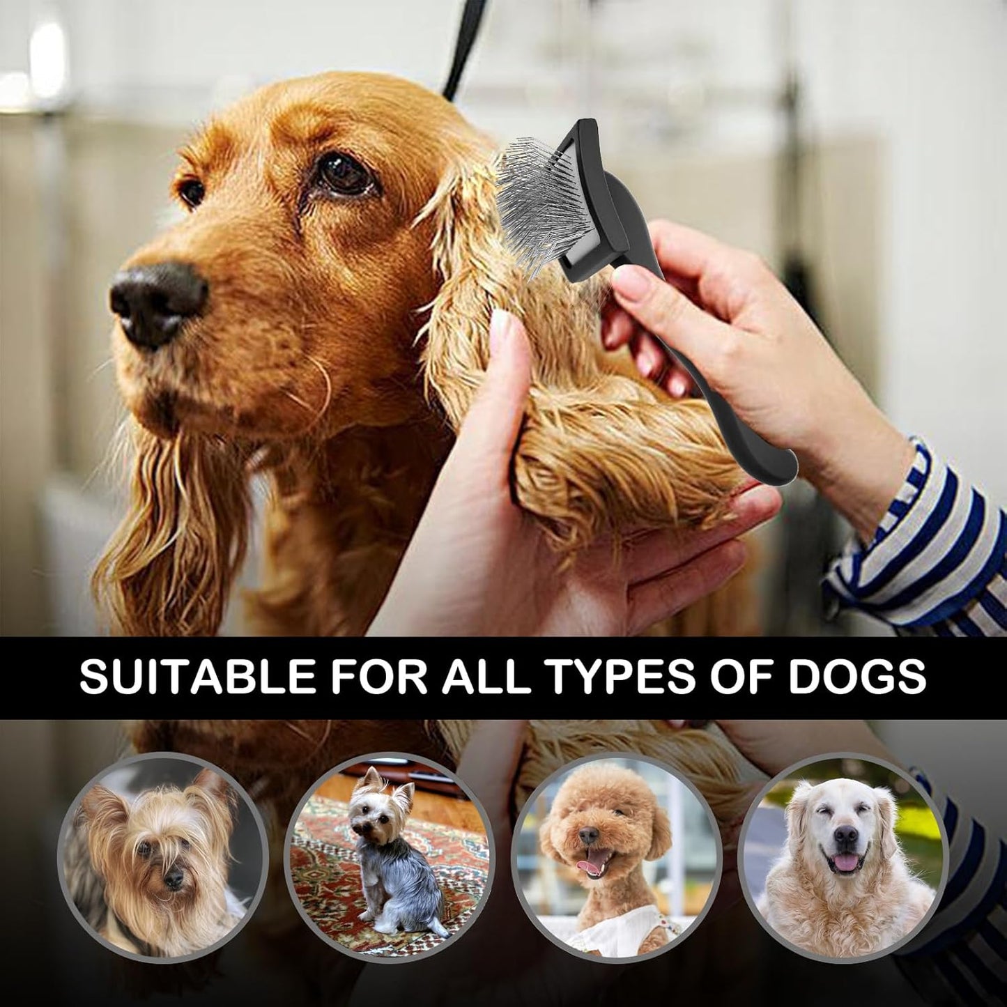 Dog Slicker Brush for Golden Doodle Grooming Kit - Dematting Brushes for Goldendoodles, Labradoodles, Poodles - Pet Hair Brush for Short & Medium Haired Dogs - Small (Black)