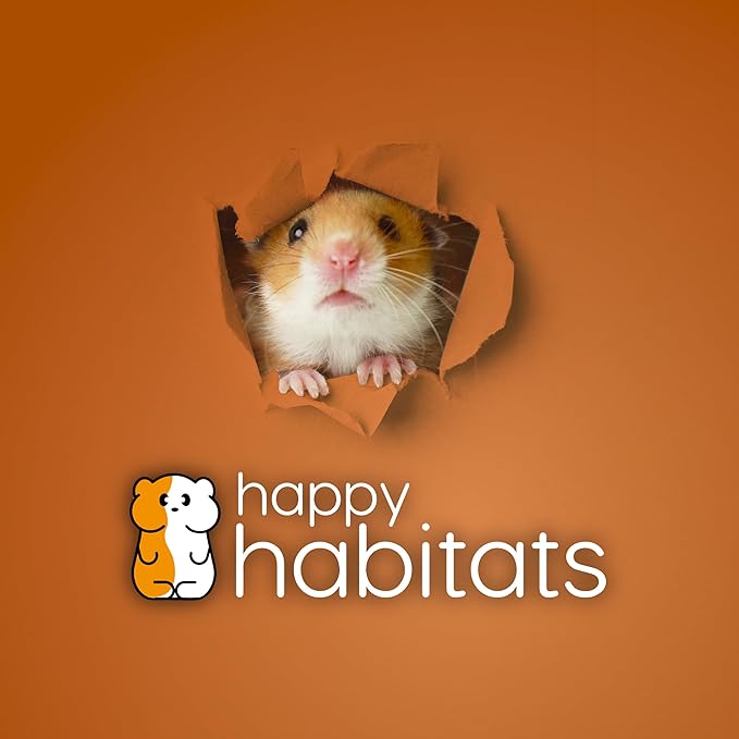 Clear Hamster Exercise Ball (7”) – Sturdy Dwarf Hamster Ball for Safe, Active Play – Ventilated Small Animal Toys for Gerbils, Mice & Other Small Pets – Must-Have Pet Rat Accessories