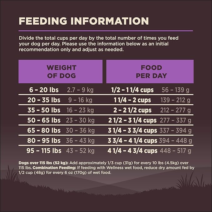 Wellness CORE Senior Dry Dog Food, Grain-Free, High Protein, Natural, Age Advantage Turkey & Chicken Recipe, (4-Pound Bag)