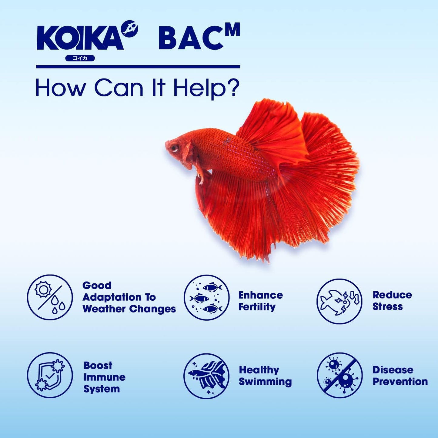 KOIKA BACM Natural Color Enhancement for Fish, Combination of Probiotic & Multi-Vitamins for Aquarium A, B6, B2, Pleasant Smell(BACM (Powder), 2.82 oz)