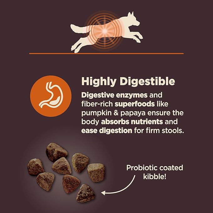 Wellness CORE Digestive Health Dry Dog Food, Wholesome Grains, Natural, Recipe for Dogs with Sensitive Stomachs, Chicken, (4-Pound Bag)