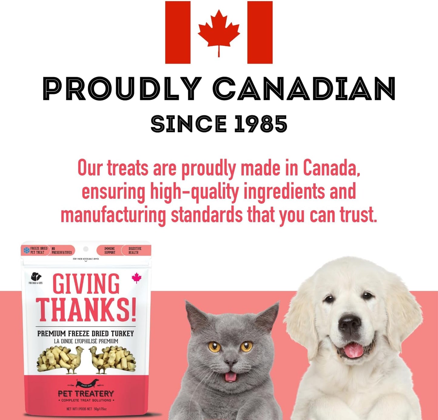 Freeze Dried Turkey Treats for Dogs & Cats (1.76 oz, Pack of 1) - Single Ingredient Flash Frozen to Maintain Nutrients Vitamins and Healthy Oils Made in Canada