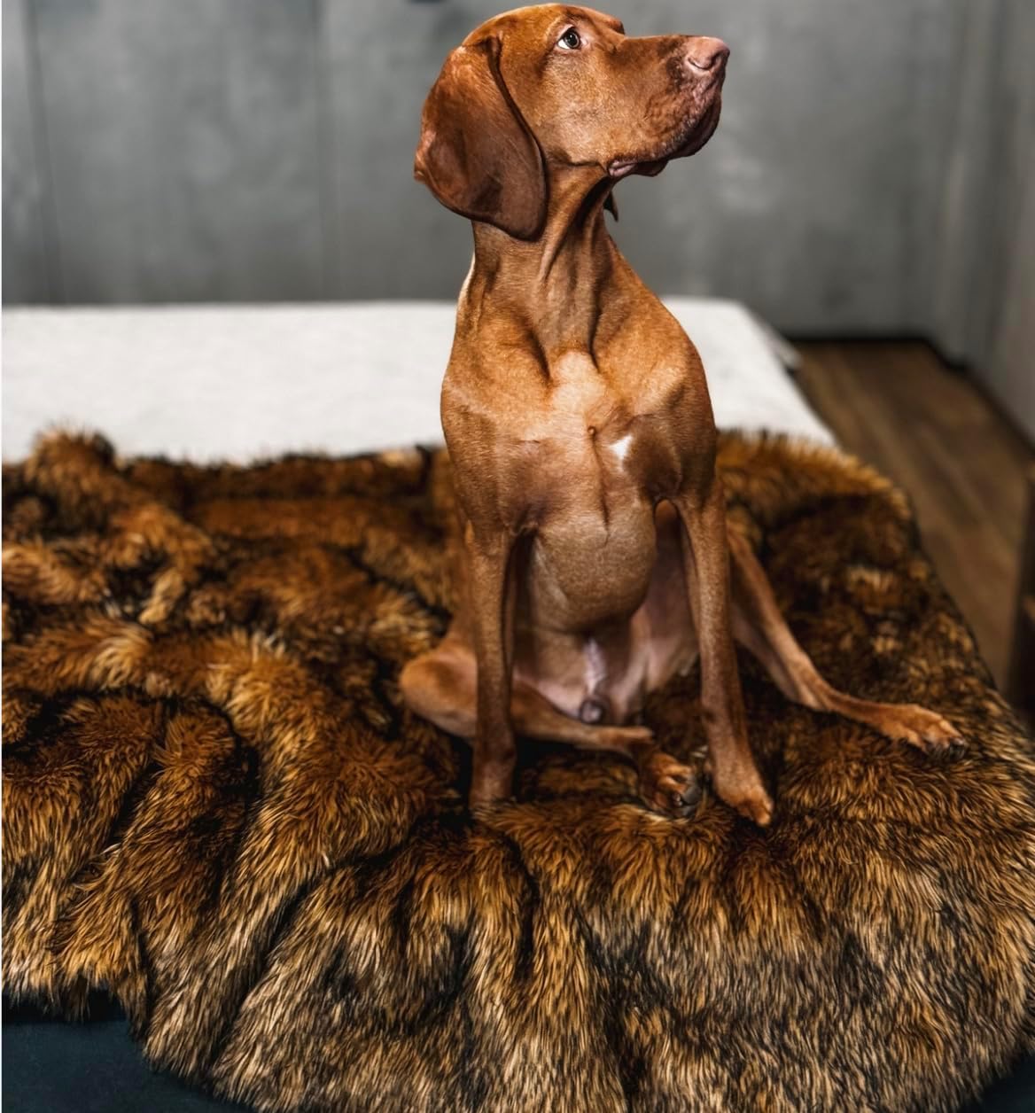 IHAPPYDOG Waterproof Dog Blanket for Small, Medium & Large Dogs – Faux Fur Pet Throw for Couch, Sofa, Bed & Car – Soft, Washable, Stain-Resistant, Durable Cover - Brown 40" x 30"