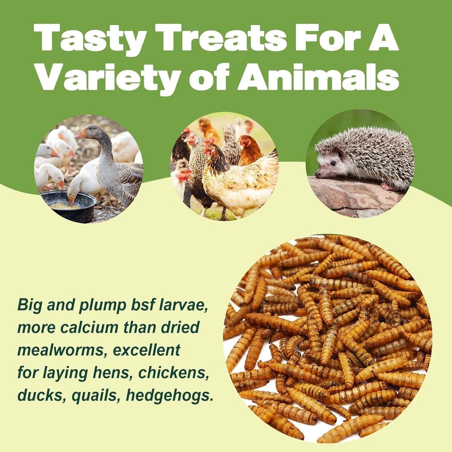 5LB Dried Black Soldier Fly Larvae, 86X Calcium Than Dried Mealworms, High Protein Non-GMO Organic Chicken Feed Reptile & Amphibian Food