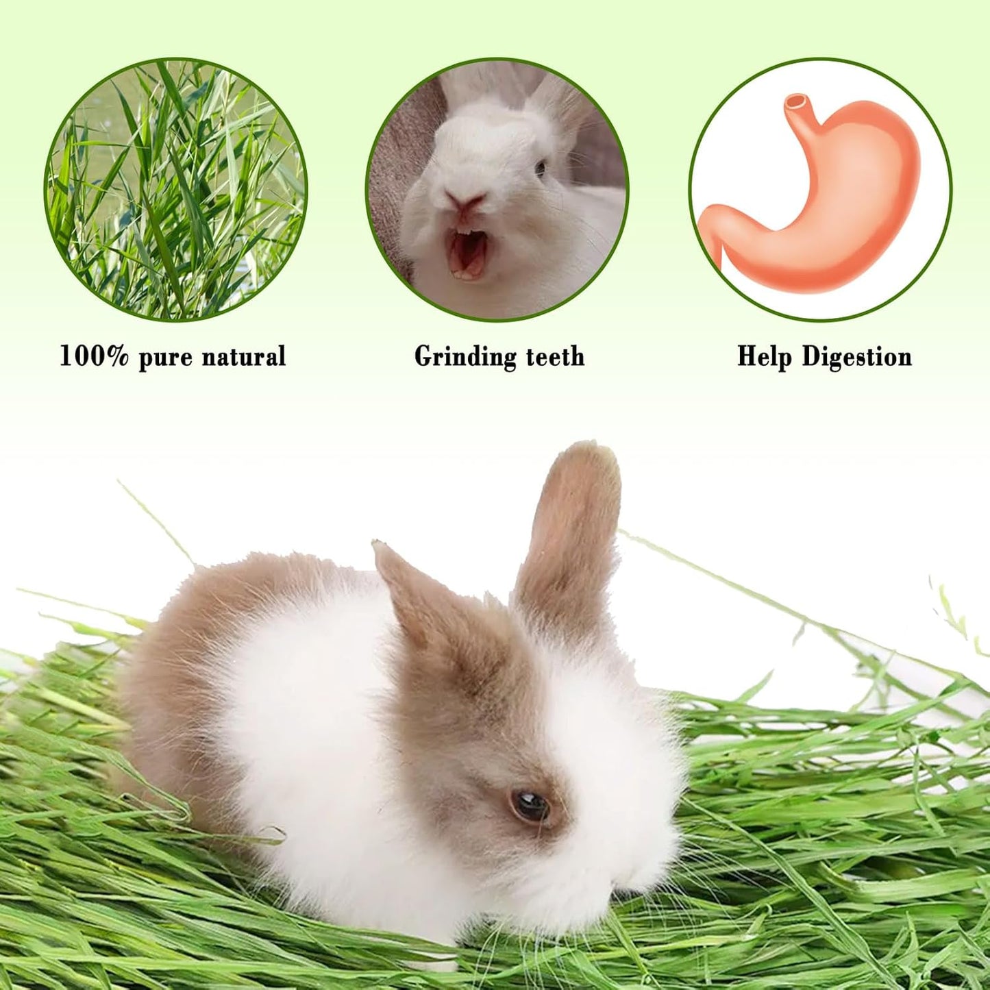 Grass mat for Rabbit Bunny Sangle Sopffy 6 Pcs,Rabbit Hay Mat,Small Animal Cages Hay Mat,Rabbit Grass Mat,Nesting and Toys for Guinea Pig Parrot Rabbit Bunny Hamster Chinchilla Squirrel