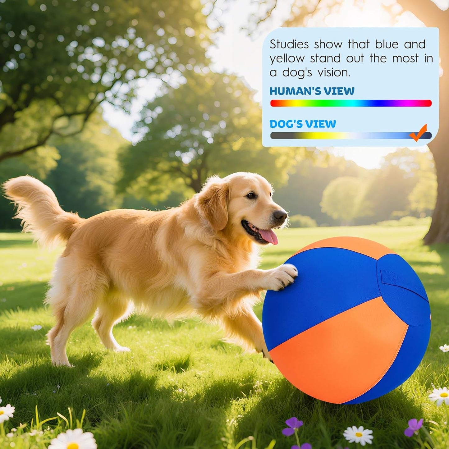 Herding Ball for Dogs-25 Jolly Ball for Dogs, Herding for Australian/German Shepherd, Collies, and All Herding Breeds, Improved Bite-Resistant, Reinforced Sewing Dog Toys-Orange/Large