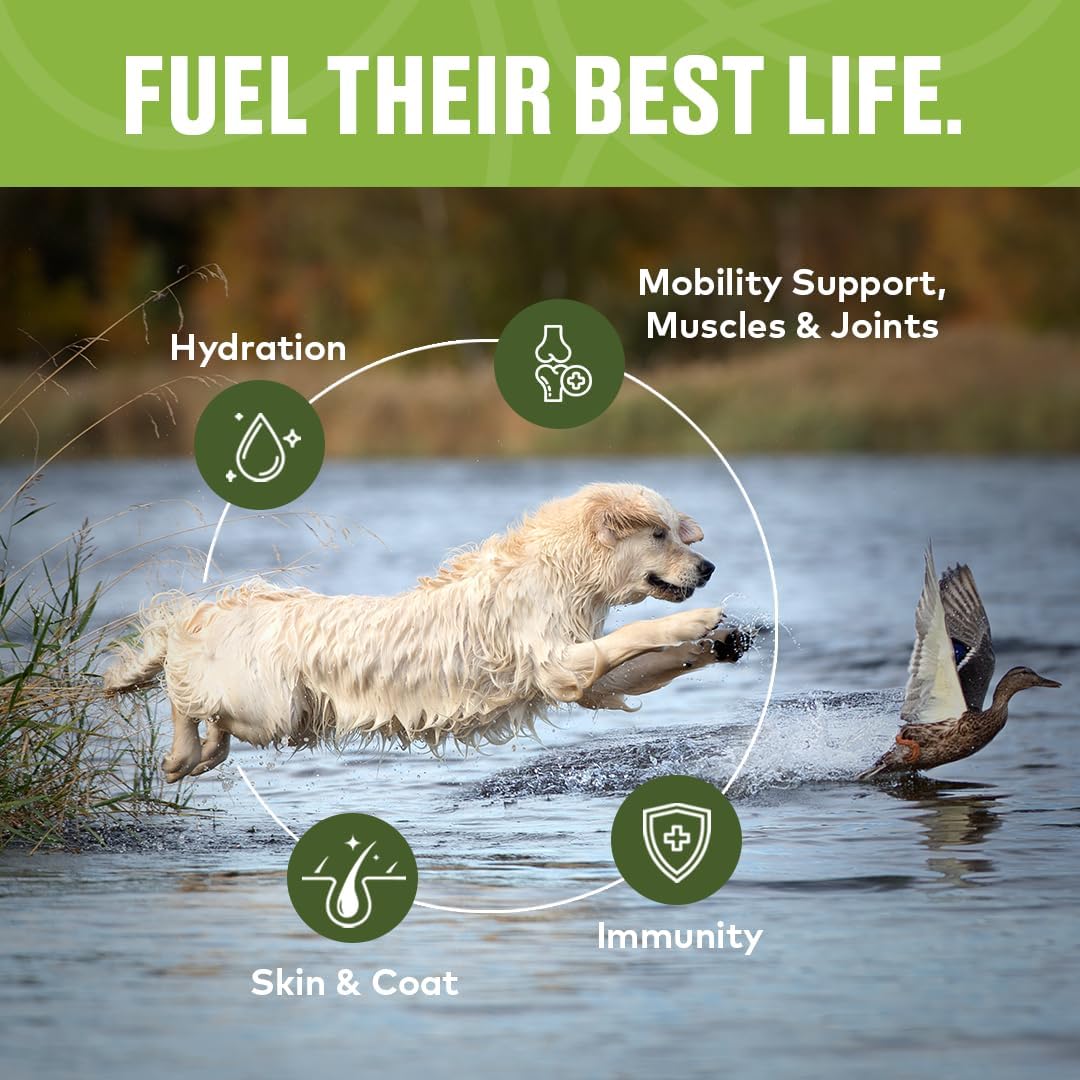 Beef Mobility Support Bone Broth Concentrate for Dogs - Collagen Protein Supplement - Boosted w/Amino Acids, Glucosamine, and Chondroitin - Dog Food Topper - Human Grade (16 oz, 30 Servings)