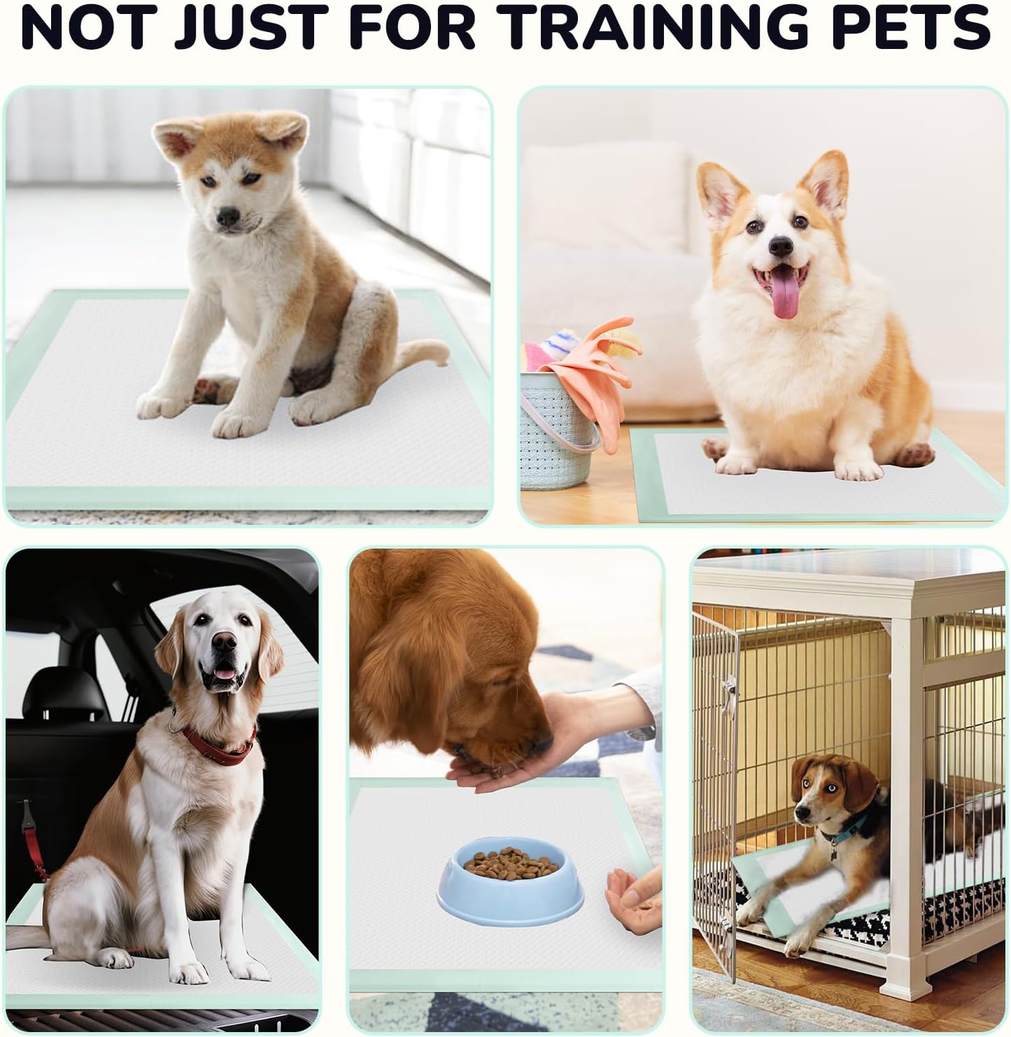 80PCS Pet Training and Puppy Pads - 24"x24" Disposable Waterproof Puppy Pee Pads - Maximum Absorption and Protection