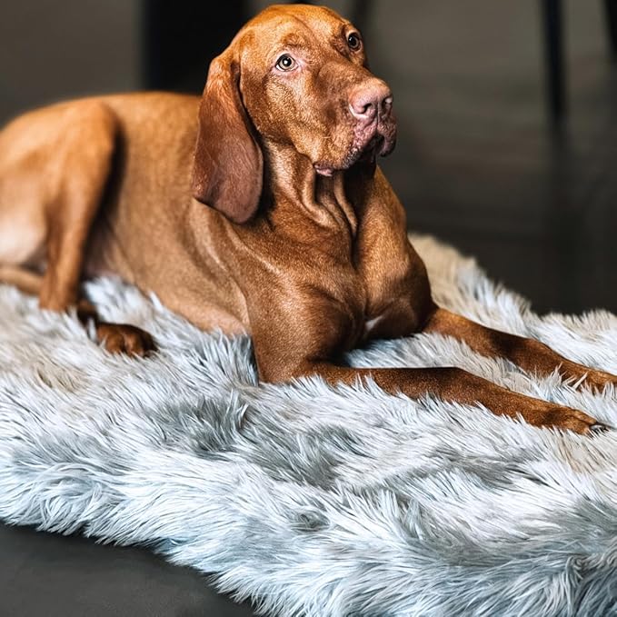 IHAPPYDOG Luxury Faux Fur Orthopedic Dog Bed, Memory Foam Dog Bed for Small, Medium, Large and XL Pets, Fluffy Pet Bed with Waterproof and Washable Cover (Grey, 50"x30")