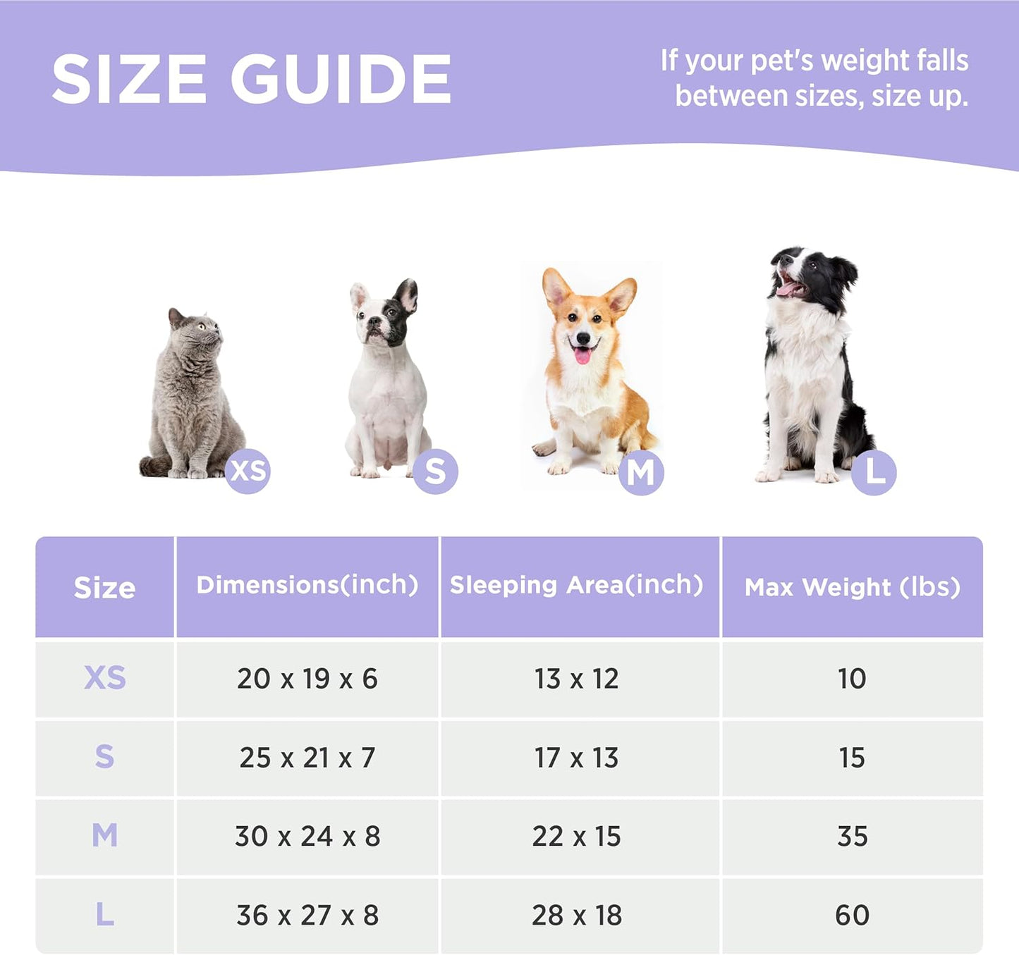 Lesure Cute Dog Bed for Small Dogs - Washable Puppy Beds,Cozy Rectangle Orthopedic Pet Sofa with Jacquard Shaggy Plush & Anti Slip Bottom,25x21x7inches