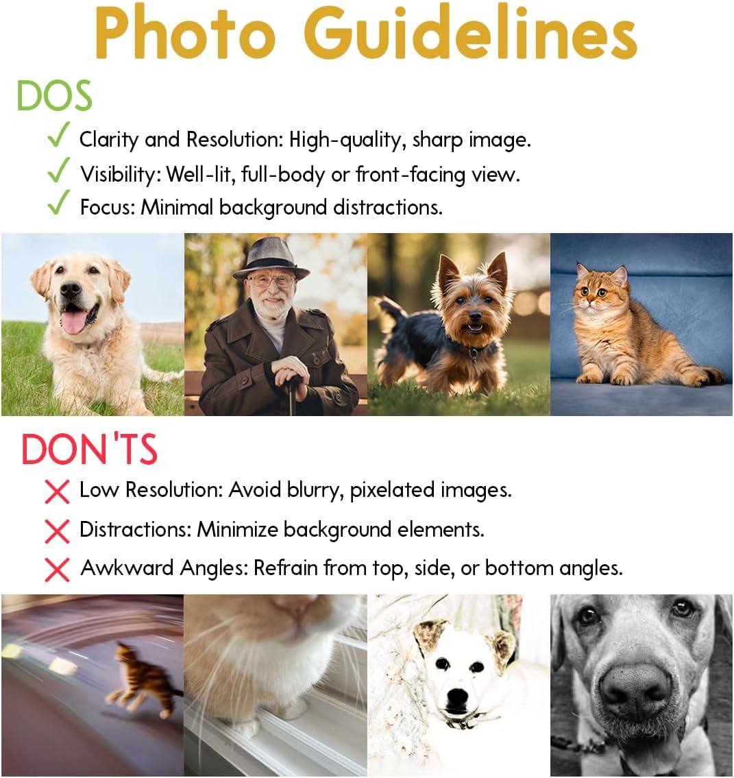 Custom Memorial Stones for Cats - Memorial Square Stone for Cat - Sentimental Rock Gifts for Cat Owners - Pet Cemetery Markers in Loving Memory