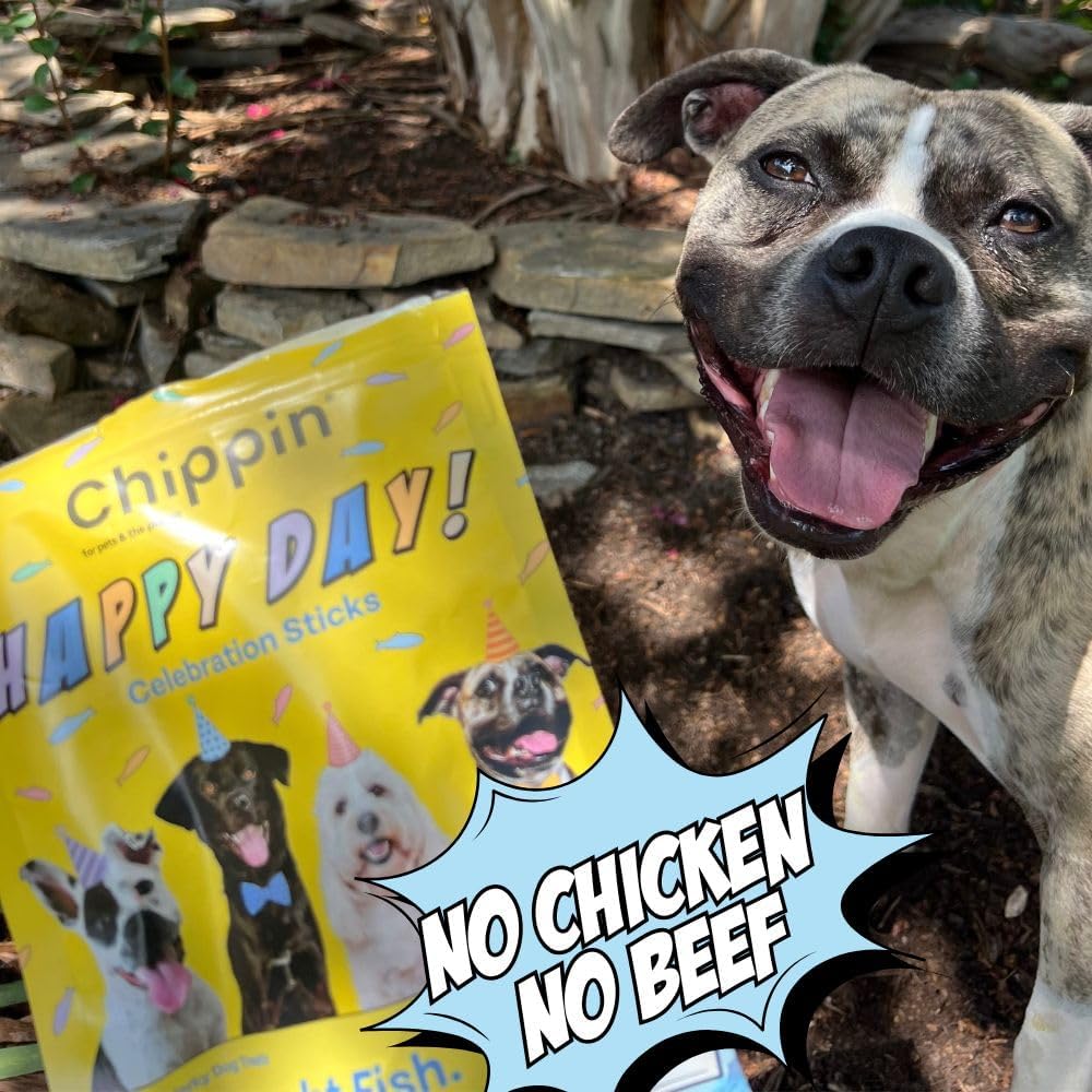 Chippin Dog Birthday Soft Treat, Great Gift, Wild-Caught Fish, Pumpkin Jerky for Dogs, No Chicken, Grain-Free, Hypoallergenic | Made in USA