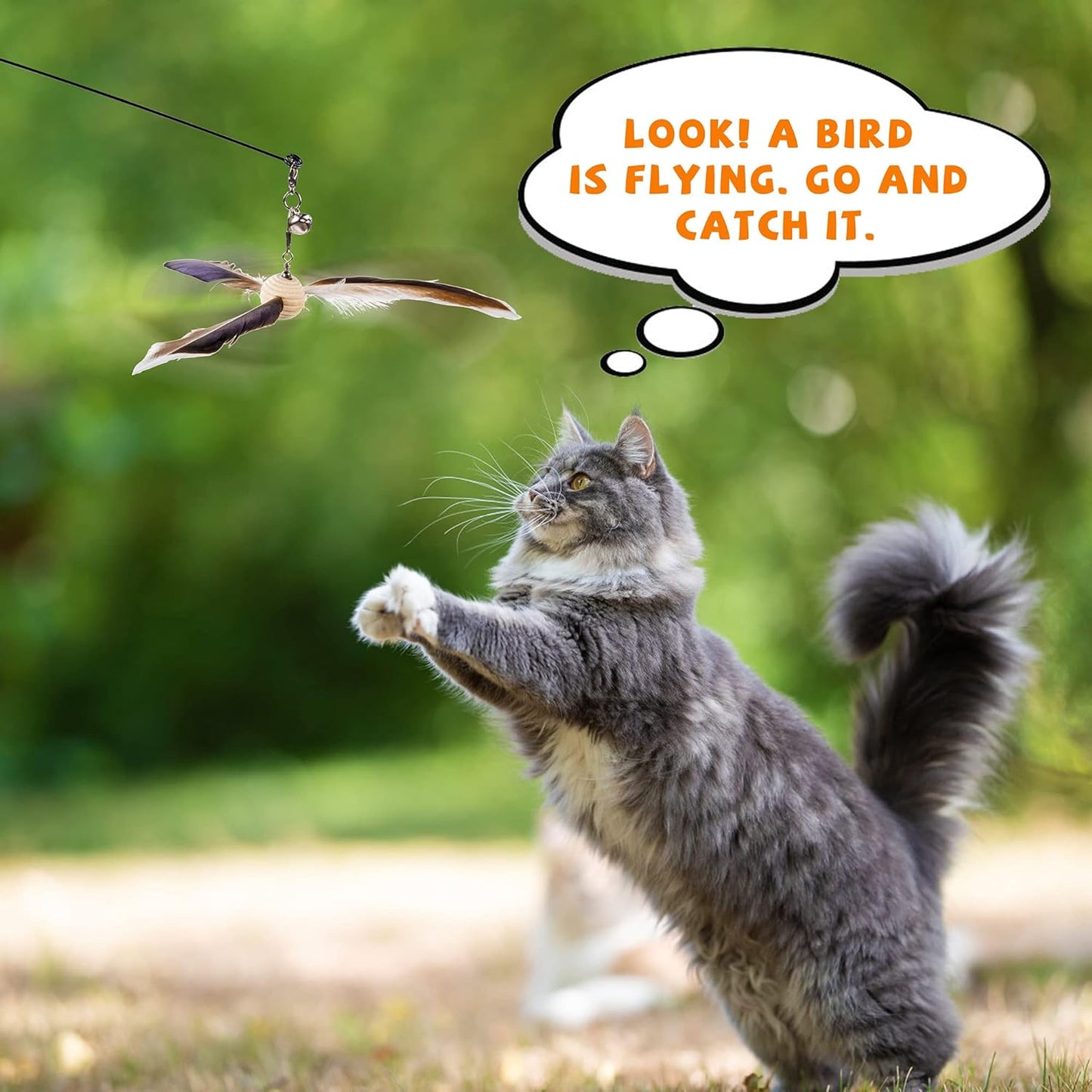 JXFUKAL Cat Wand Toys, Interactive Cat Toys with 3 Feather Refills, 29'' Flexible Steel Wire, Sturdy Wood Handle & Bell for Kitty Kitten, Cat Toys for Indoor Cats Teaser Cat String Toy