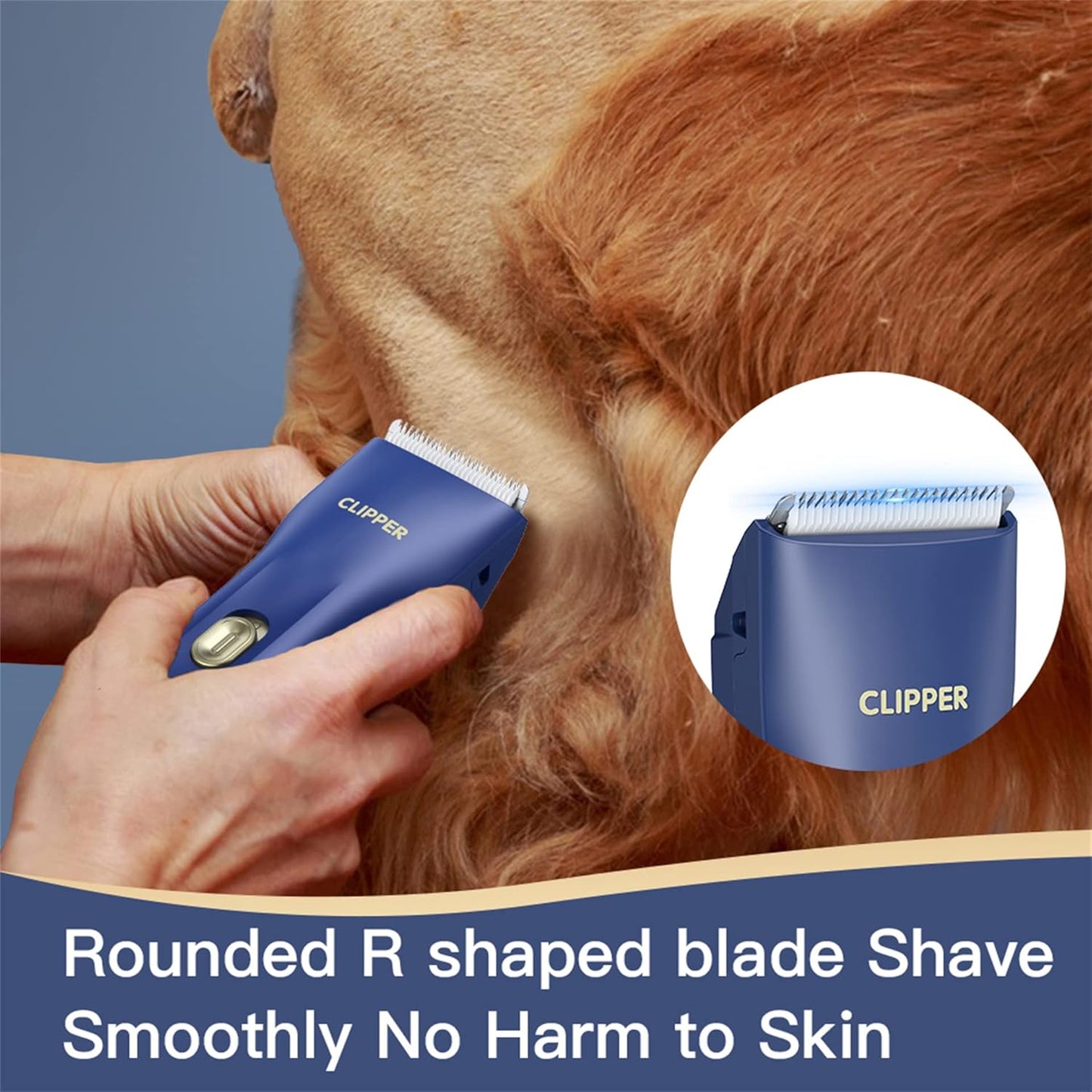 Dog Cat Home Hair Waterproof Clipper Wireless Dog Trimmer for Grooming,Blue,TS006