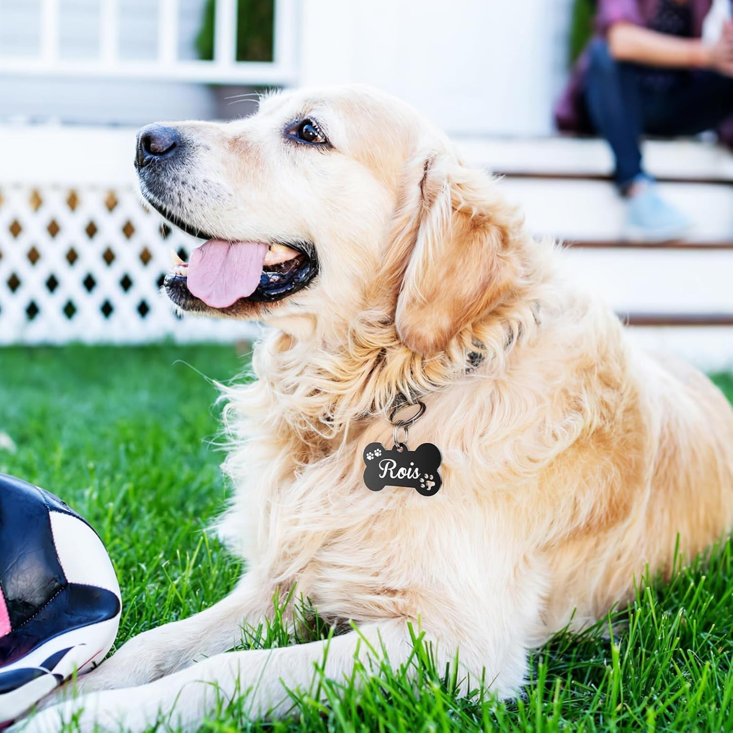 Dog Tags Engraved for Pets - YEHANTI Personalized Dog Tags with Lovely Icons, Durable Stainless Steel Pet ID Tags for Small Large Dogs Cats, Custom Dog Name Tags Engraved on Both Sides (Bone)