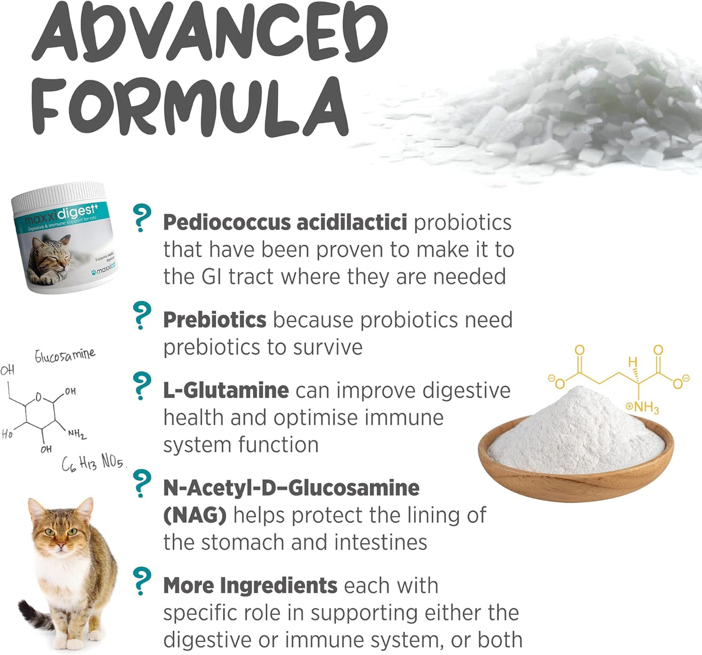 maxxipaws maxxidigest+ Prebiotic & Probiotic for Cats 7oz | Cat Probiotic Powder with Advanced Digestive Enzymes for Gut Health & Immunity | Supports Digestion, Food Sensitivities & Itchy Skin