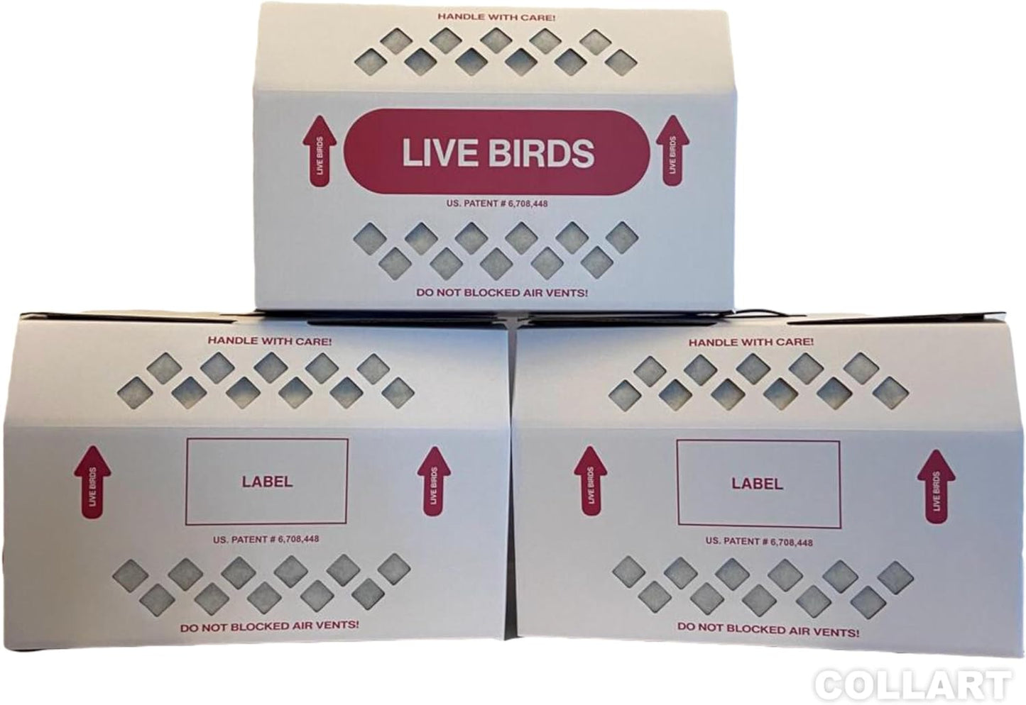 Live Bird Shipping Box Less Expensive Size 18" x 8" x 12" Tall-with Handle for Poultry, Pigeons, & Canaries - 3 Boxes
