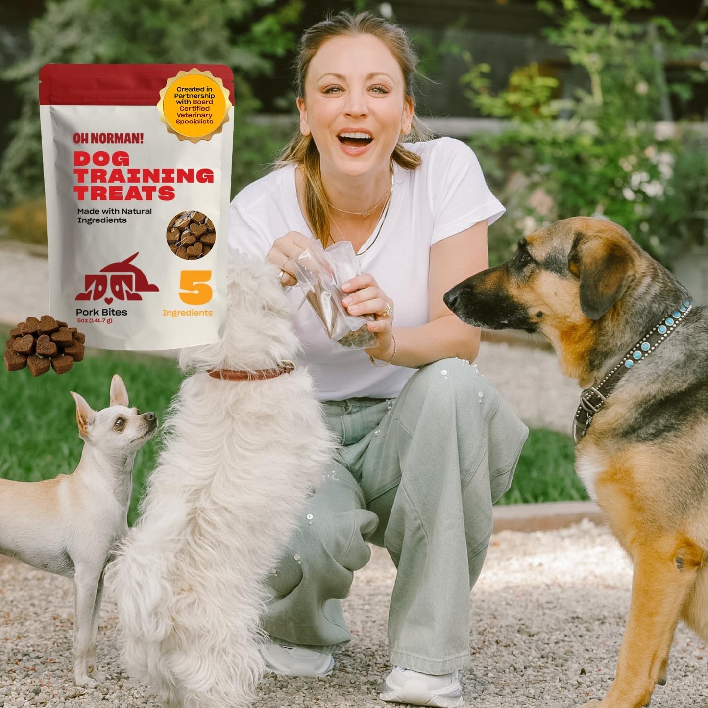 OH NORMAN! Pork Training Treats