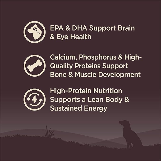 Wellness CORE Puppy Dry Dog Food, Large Breed, Grain-Free, High Protein, Natural, Chicken & Turkey Recipe (24-Pound Bag)