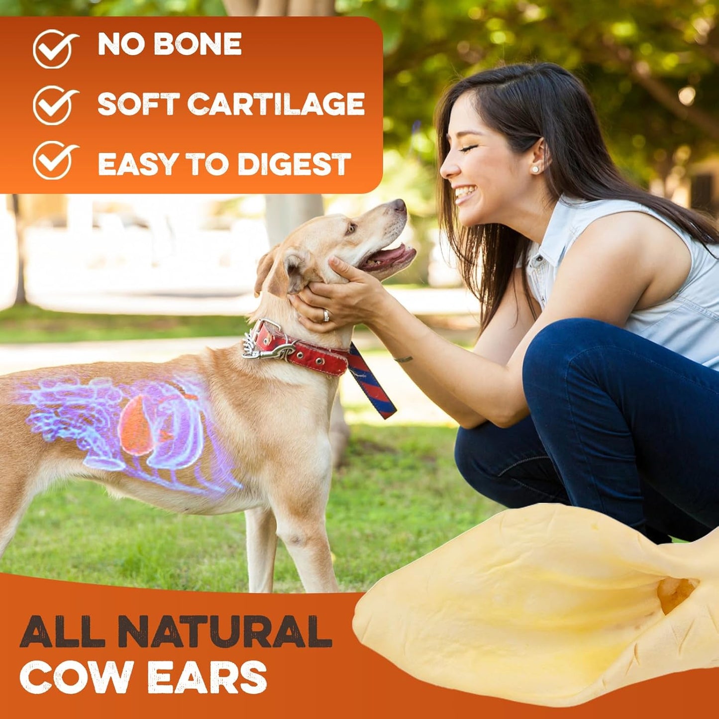 Cow Ears for Dogs – Whole Ears 100 ct, Thick Cut, Grass-Fed Angus Beef, All-Natural No-Rawhide Dog Treat Alternative