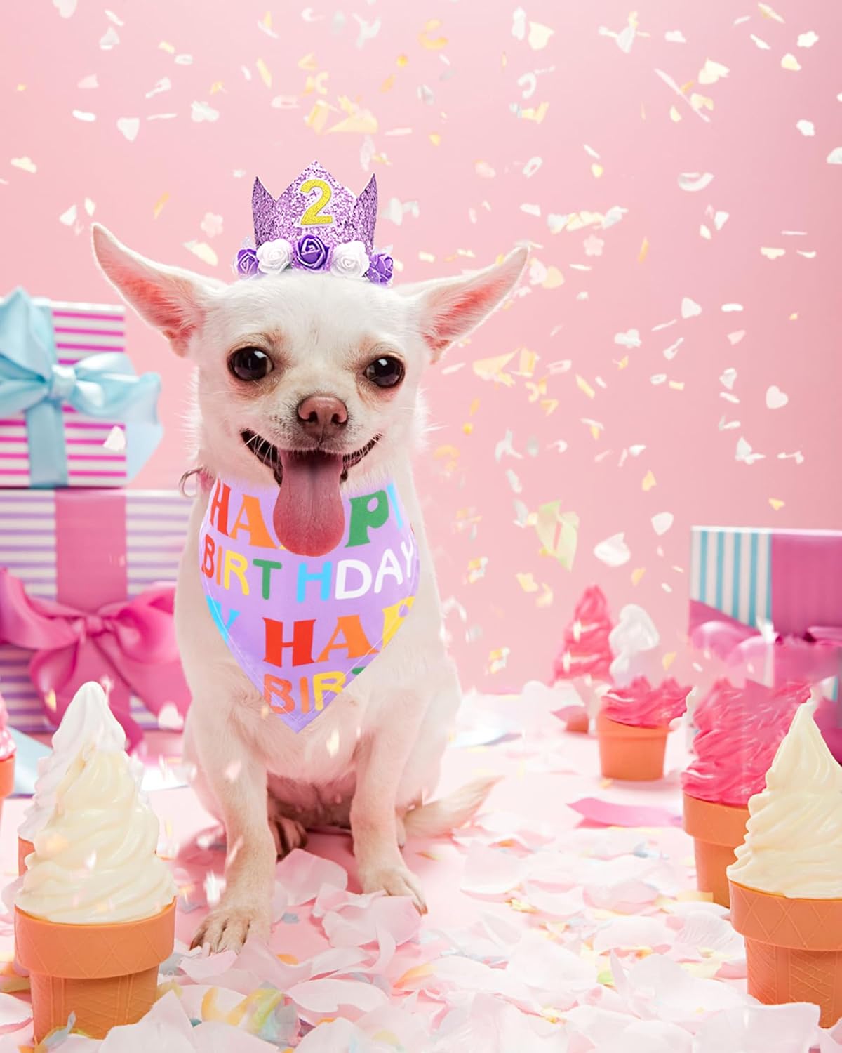 PET SHOW Purple Crown Dog Birthday Party Hat with Bandana Set for Girls Reusable Party Supplies Cat Kitten Headband with 0-9 Numbers Charms Costume Accessories with Glue