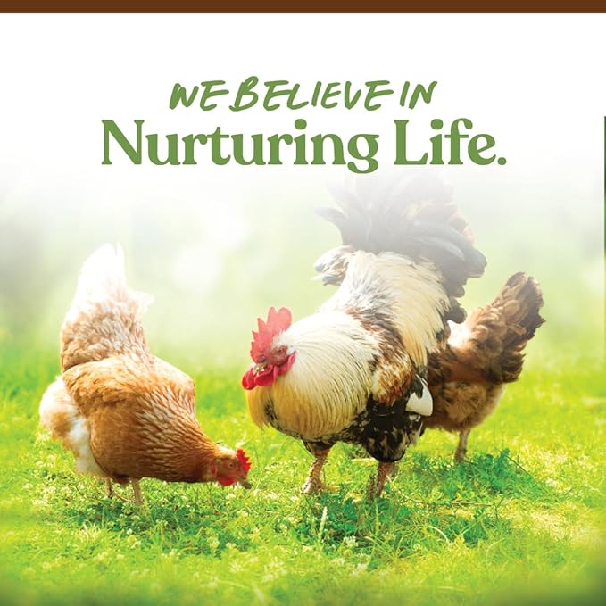 Manna Pro Garden Delight Chicken Treat, Dried Vegetable & Herb Treat Mix for Chickens, Ducks, and Poultry, Natural Coop Enrichment Snack for Hens and Backyard Birds, Made in USA, 2.25 lb Bag