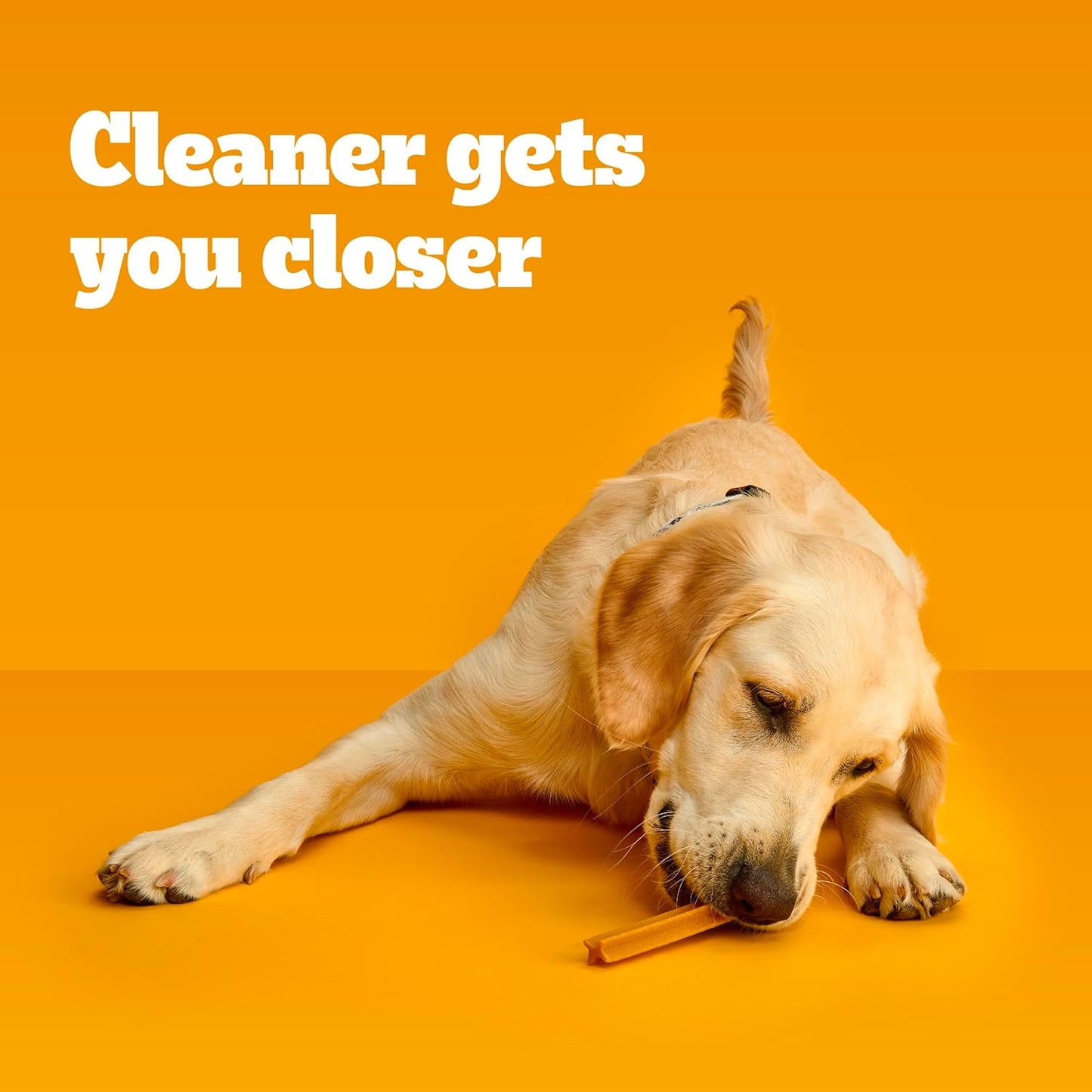 Pedigree Dentastix Large Breed Dog Treats, Original Flavor, 2.08 lb. Bag (40 Treats)