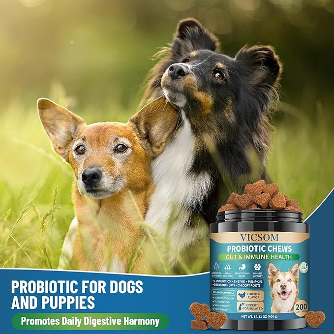 Dog Probiotics for Dogs, 200 Soft Probiotics Chews for Dogs Digestive Health Gut Health & Immune System, with 6 Probiotics & Digestive Enzymes, Support Itchy Skin, Constipation & Diarrhea Relief