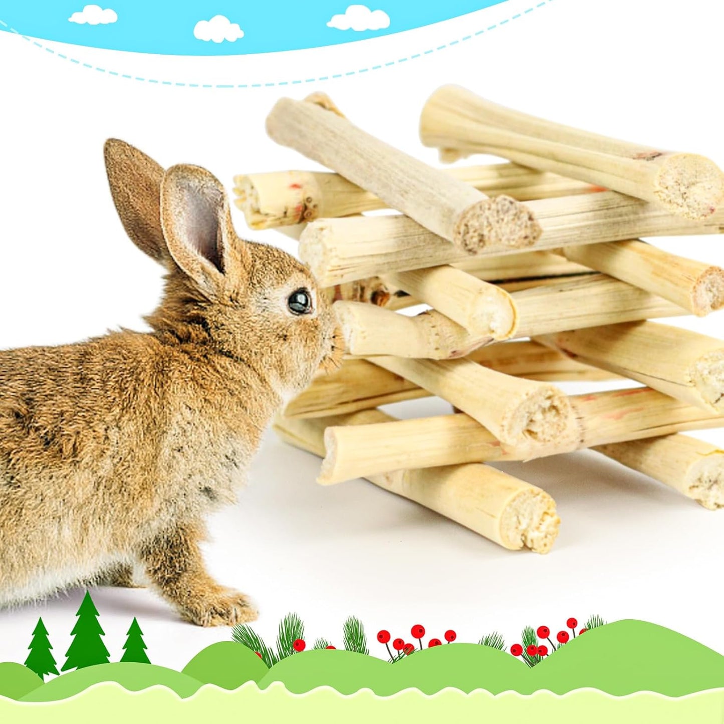 800g/1.76lb Bunny Toys Sweet Bamboo Sticks for Rabbits Bunny Chew Toys Molar Treats Snack for Small Animals Hamsters Chinchillas Guinea Pigs