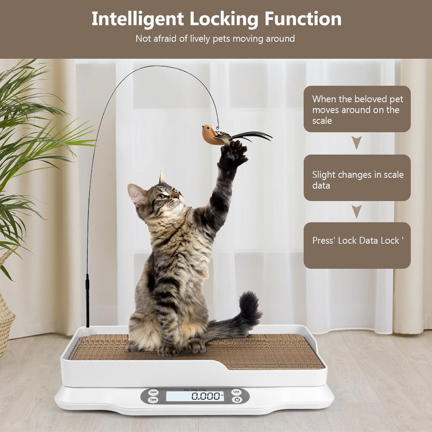 Digital Small Animals Scales for Weighing with Tape Measure, Puppy Whelping Scale Weigh Your Kitten, Rabbit with High Precision (Large Pet Scale)