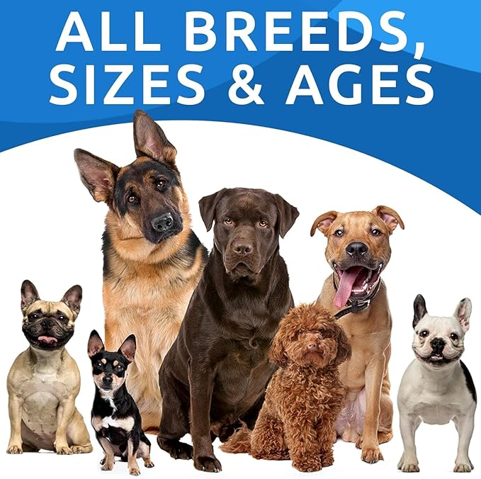 BARK&SPARK Dog Allergy Relief Chews (180 Immune Treats) - Anti-Itch Skin & Coat Supplement - Omega 3 Fish Oil - Dry & Itchy Skin Relief Treatment Pills - Itching, Paw Licking & Hot Spots