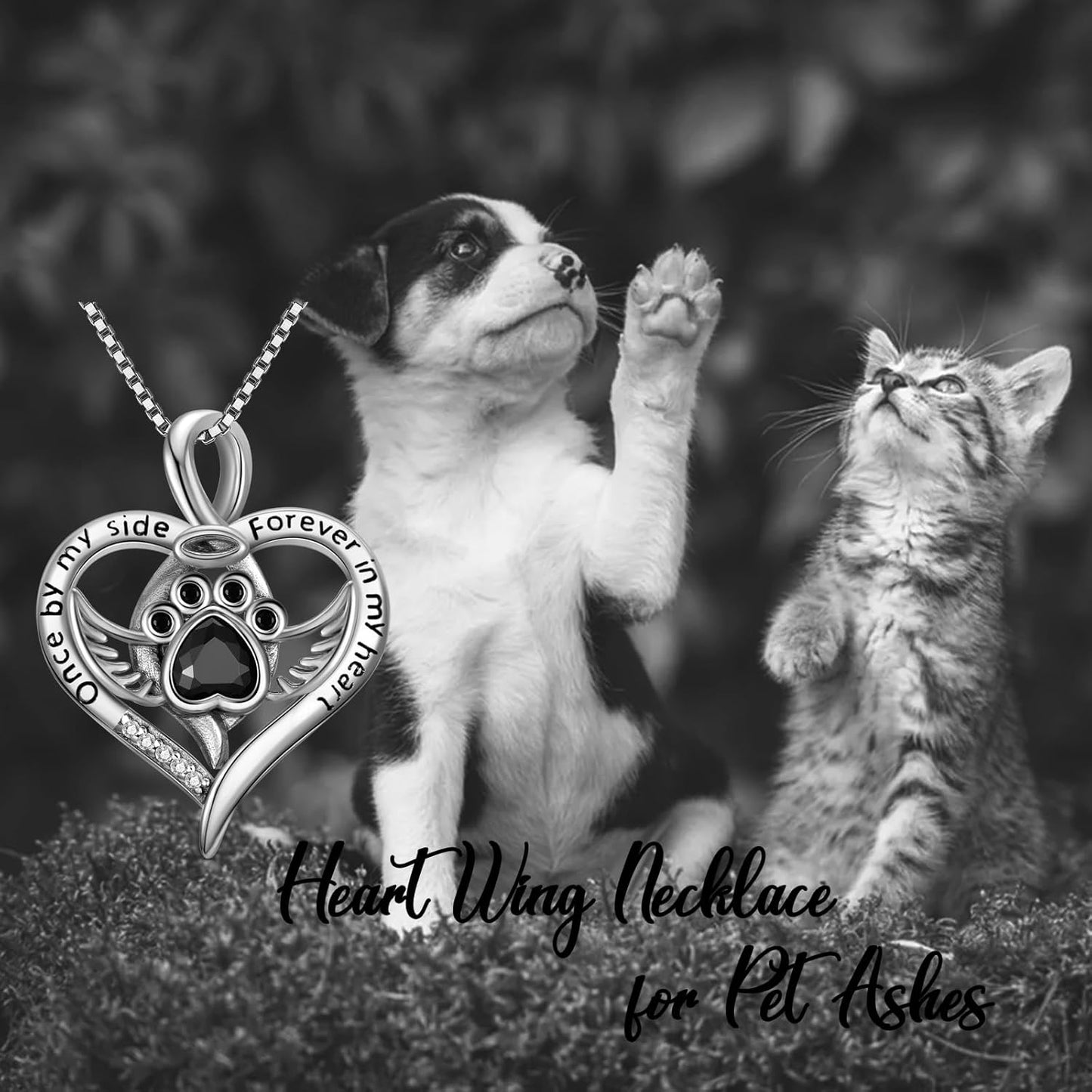 Sterling Silver Pet Urn Necklace for Ashes - Memorial Keepsake for Dog, Cat Pet