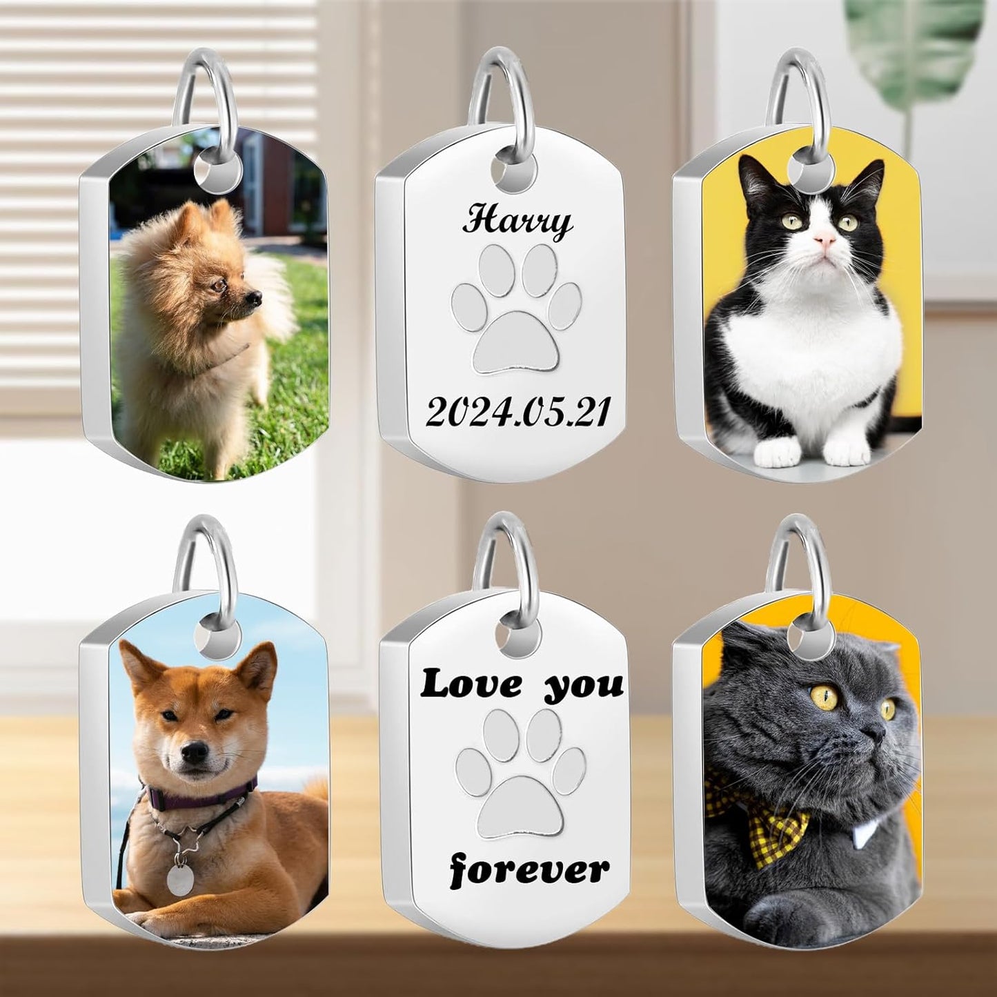 Personalized Pet Urn Necklace for Dog Ashes Custom Engraving Photo Text Pet Cremation Jewelry Customize Memorial Gift for Pet Dog Cat Ashes Necklace(04-Silver)