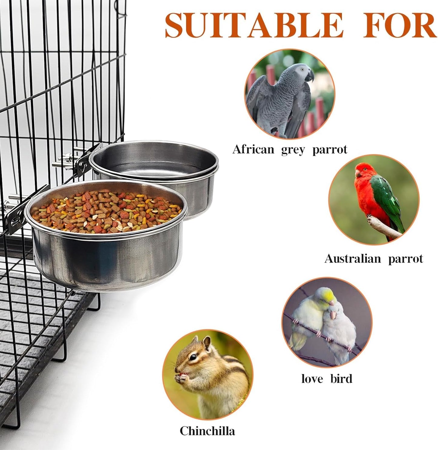 PINVNBY 2pcs Stainless Steel Bird Bowl Feeding Dish Cups for Parrot, Parakeet, African Greys, Conure, Cockatiels, Lovebird, Budgie, Chinchilla (Three Screws Size: L)