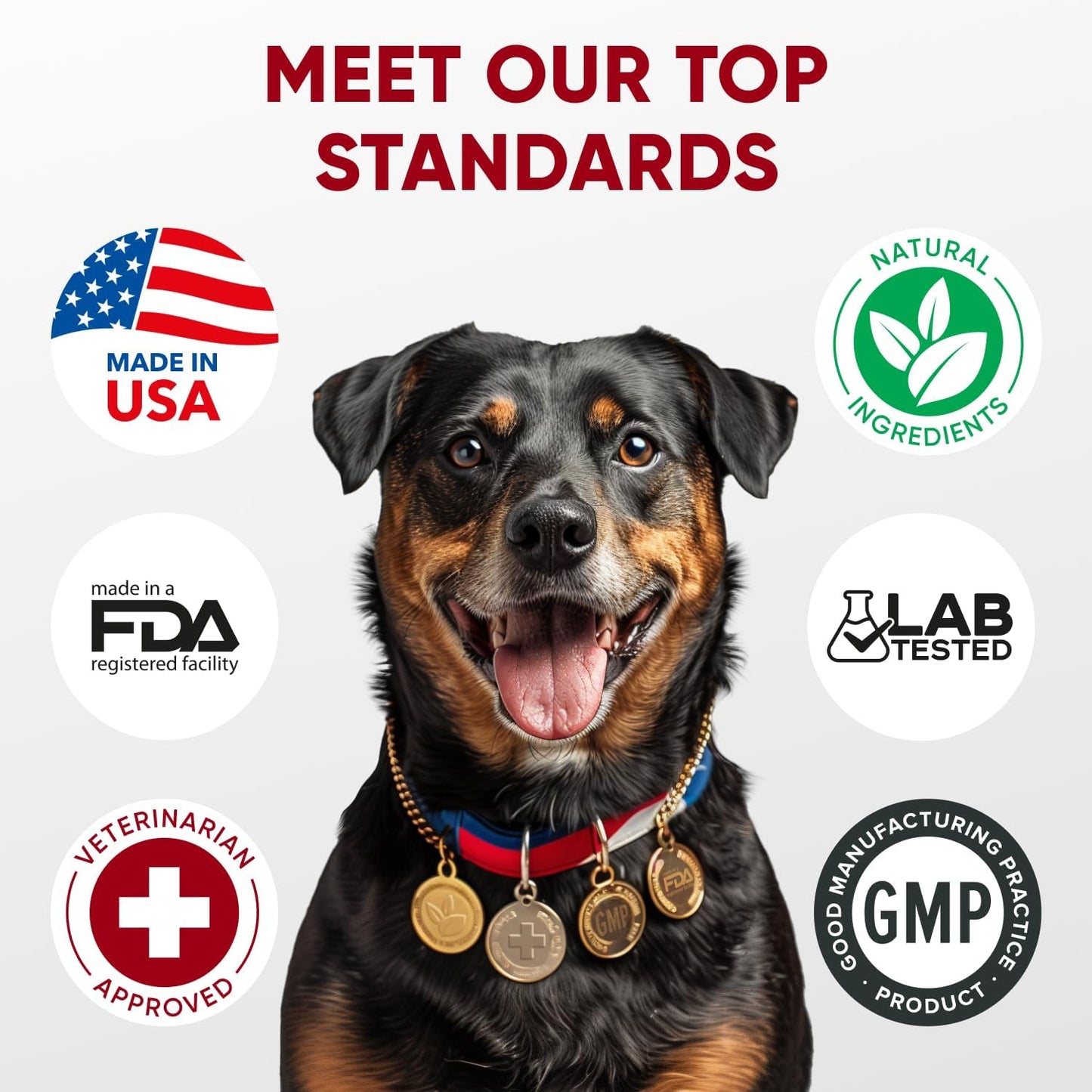 Chewable Probiotics for Dogs - Immune Support - Digestive Health - Probiotic Chews for Gut Health, Itchy Skin, Diarrhea - USA Product, Enzymes - Dog Digestive Support & Allergy Relief Chews